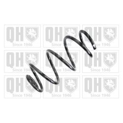 Suspension Spring QUINTON HAZELL QCS8216 OE Ref 6R0411105BN QUINTON HAZELL