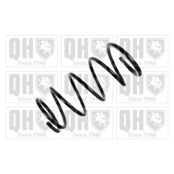 Suspension Spring QUINTON HAZELL QCS8223 OE Ref MR913024