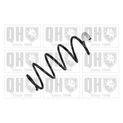 Suspension Spring QUINTON HAZELL QCS8224 OE Ref DGY034A10