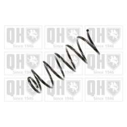 Suspension Spring QUINTON HAZELL QCS8231 OE Ref 6383210304