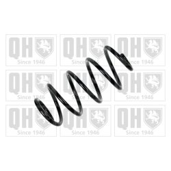 Suspension Spring QUINTON HAZELL QCS8235 OE Ref 1K0411105CD