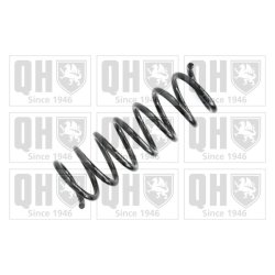 Suspension Spring QUINTON HAZELL QCS8238 OE Ref 30666223