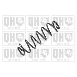 Suspension Spring QUINTON HAZELL QCS8250 OE Ref 6Q0511115AL