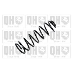 Suspension Spring QUINTON HAZELL QCS8253 OE Ref 35463330 QUINTON HAZELL
