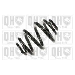 Suspension Spring QUINTON HAZELL QCS8254 OE Ref 33536750250