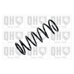 Suspension Spring QUINTON HAZELL QCS8261 OE Ref 4511005200