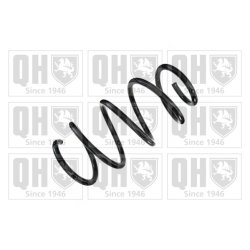 Suspension Spring QUINTON HAZELL QCS8361 OE Ref 13356557