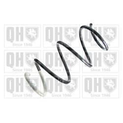 Suspension Spring QUINTON HAZELL QCS8379 OE Ref 540100658R