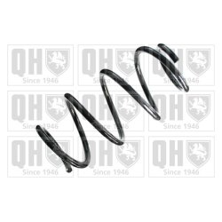 Suspension Spring QUINTON HAZELL QCS8406 OE Ref 46751141