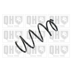 Suspension Spring QUINTON HAZELL QCS8425 OE Ref 481310D620