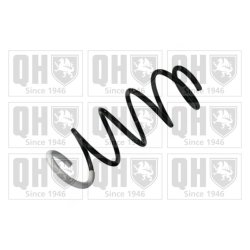 Suspension Spring QUINTON HAZELL QCS8438 OE Ref 546301Y704