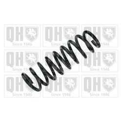 Suspension Spring QUINTON HAZELL QCS8540 OE Ref 553502Y200