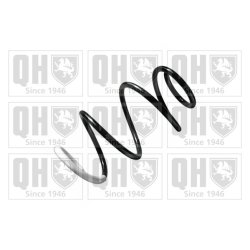 Suspension Spring QUINTON HAZELL QCS8552 OE Ref 546301H526