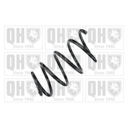 Suspension Spring QUINTON HAZELL QCS8574 OE Ref 31336777190