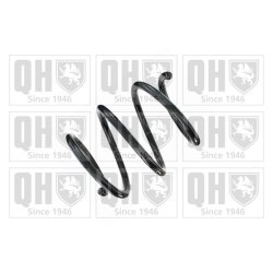 Suspension Spring QUINTON HAZELL QCS8622 OE Ref 31336759387