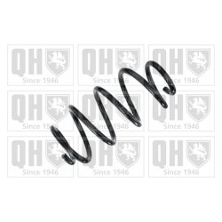 Suspension Spring QUINTON HAZELL QCS8656 OE Ref 2463242804