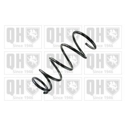 Suspension Spring QUINTON HAZELL QCS8787 OE Ref 71768400