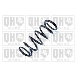 Suspension Spring QUINTON HAZELL QCS8850 OE Ref 31304157