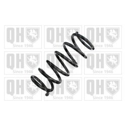 Suspension Spring QUINTON HAZELL QCS8855 OE Ref 31290333