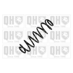 Suspension Spring QUINTON HAZELL QCS8859 OE Ref 1859225