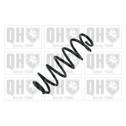 Suspension Spring QUINTON HAZELL QCS8873 OE Ref 6Q0511115BB QUINTON HAZELL