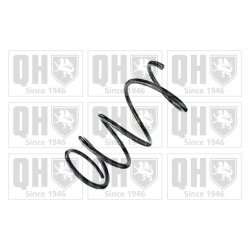 Suspension Spring QUINTON HAZELL QCS8888 OE Ref 4813142240