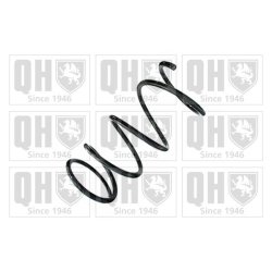 Suspension Spring QUINTON HAZELL QCS8892 OE Ref 4813142260