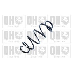 Suspension Spring QUINTON HAZELL QCS8917 OE Ref 95524519 QUINTON HAZELL