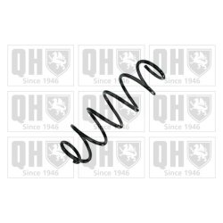 Suspension Spring QUINTON HAZELL QCS9145 OE Ref 550200002R