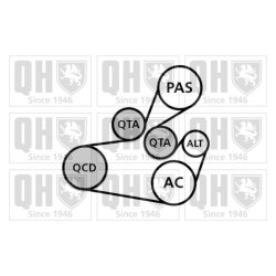 V Ribbed Belt Set QUINTON HAZELL QDK110 OE Ref 1613844680