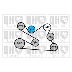 V Ribbed Belt Set QUINTON HAZELL QDK134 OE Ref 117204083R