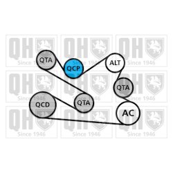 V Ribbed Belt Set QUINTON HAZELL QDK137 OE Ref 117203336R