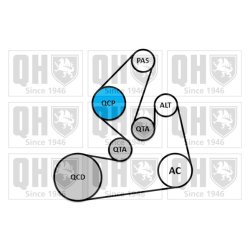 V Ribbed Belt Set QUINTON HAZELL QDK165 OE Ref 7701476645