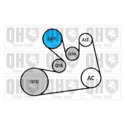 V Ribbed Belt Set QUINTON HAZELL QDK185 OE Ref 7701476644