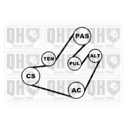 V Ribbed Belt Set QUINTON HAZELL QDK31 OE Ref 7701477527