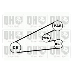 V Ribbed Belt Set QUINTON HAZELL QDK55 OE Ref 16112821