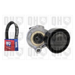 V Ribbed Belt Set QUINTON HAZELL QDK89 OE Ref 117203694R