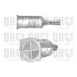 Diesel Particulate Filter (dpf) QUINTON HAZELL QDPF11012 OE Ref 71785242