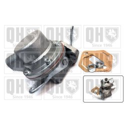 Fuel Pump QUINTON HAZELL QFP118 OE Ref 208493