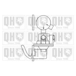Fuel Pump QUINTON HAZELL QFP118 OE Ref 208493 QUINTON HAZELL