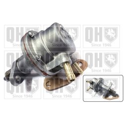 Fuel Pump QUINTON HAZELL QFP129 OE Ref 25061470