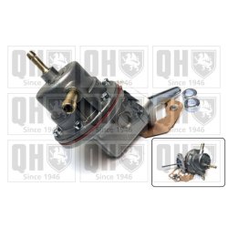 Fuel Pump QUINTON HAZELL QFP138 OE Ref 06167PE0A00