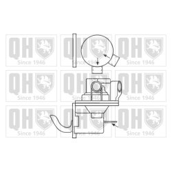 Fuel Pump QUINTON HAZELL QFP149 OE Ref 6042032