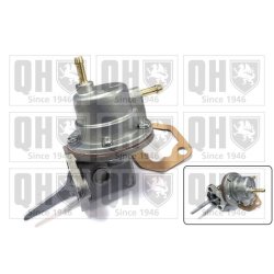 Fuel Pump QUINTON HAZELL QFP16 OE Ref 026127025A