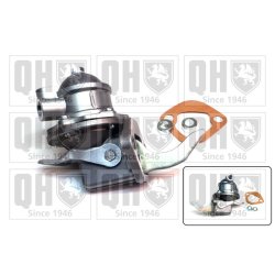 Fuel Pump QUINTON HAZELL QFP163 OE Ref ETC4303
