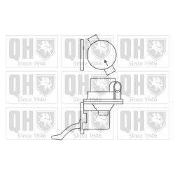 Fuel Pump QUINTON HAZELL QFP166 OE Ref 109E9350 QUINTON HAZELL