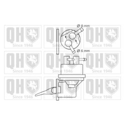 Fuel Pump QUINTON HAZELL QFP239 OE Ref 026127025 QUINTON HAZELL