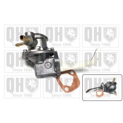 Fuel Pump QUINTON HAZELL QFP256 OE Ref F8B113350