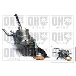Fuel Pump QUINTON HAZELL QFP294 OE Ref 6488775
