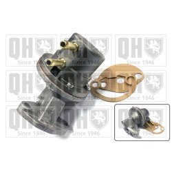 Fuel Pump QUINTON HAZELL QFP317 OE Ref 113127025E
